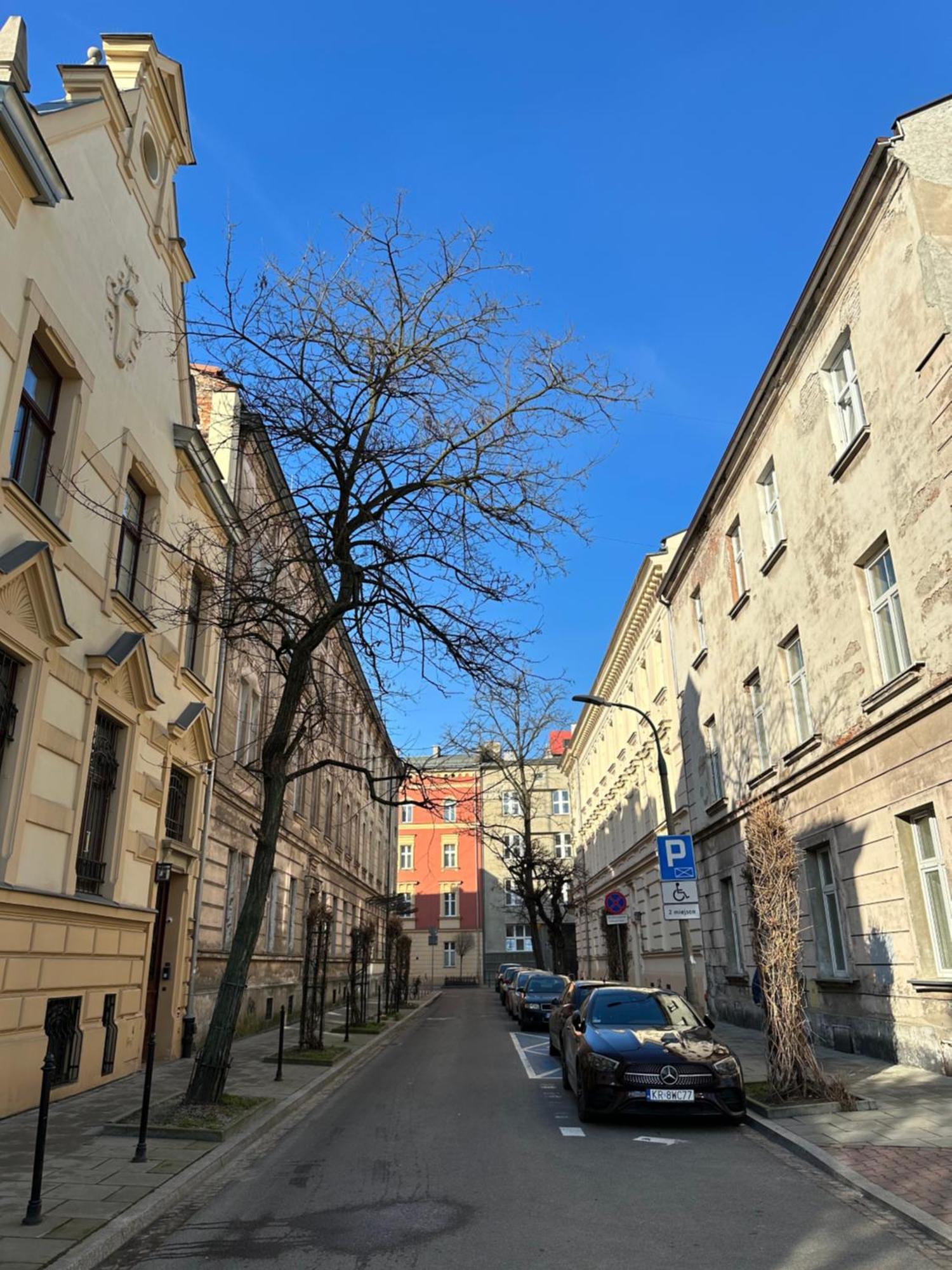 Perfect Place To Stay In Krakow City Center 18M2 W5 Εξωτερικό φωτογραφία